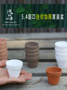 Thickened Miniature Fleshy Plant Plastic round Mouth Ceramic Imitation Flower Pot for Sowing And Seedling Cultivation