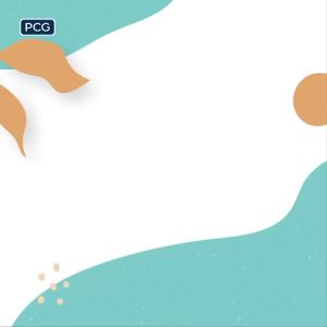 Cat Choize Adult 800 gr Salmon Tuna Makanan Kucing Dewasa Repack