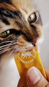 PawmisedLand Pawmised Stick | Premium Functional Meal Grade Cat Stick | Cat Treats | Cat Wet Food