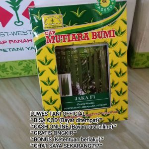 Benih Bibit Gambas Oyong Jaka F1 Isi 10 Gram Tidak Pahit Rasa Ampuk Tahan Simpan Hijau Gelap - Mutiara Bumi