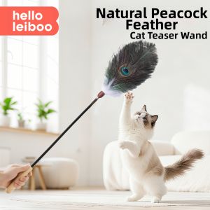 HELLOLEIBOO | Long Handle Cat Teaser Toy with Natural Scent and Feather Replacement Heads