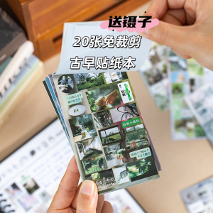 Organic Garden Early Cut Film Sticker Book 20 Sheets INS Japanese Style Artistic Landscape Text Handmade Diary DIY Materials