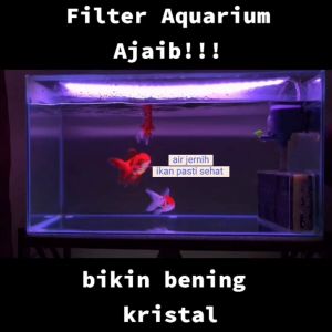 filter oksigen internal aquarium ajaib