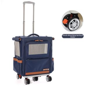 PETSEEK | Portable Breathable Pet Carrier
