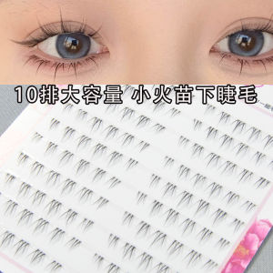 Natural Looking Sunflower Segmented Single Cluster False Eyelashes Transparent Stem Easy to Use Dense Effect Artificial Fibre