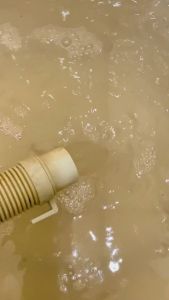 Pembersih Mesin Cuci Super 1Kg I Lx Official Store