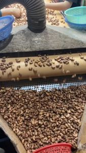 HẠT ĐIỀU  XẾP HOA 1 HỘP 500GRAM