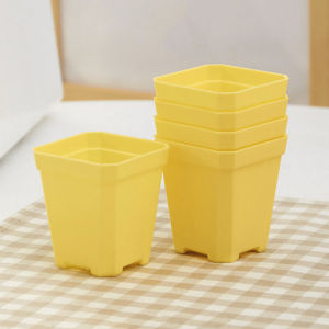 Transparent Small Black Square Thickened Octagonal Flowerpot Small White Basin Succulent Plant Nursery Basin Leaf Insert Basin Plastic Ten Square Basin