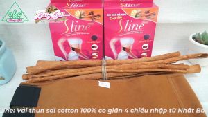 Gen tiêu mỡ bụng Sline - Hương Quế
