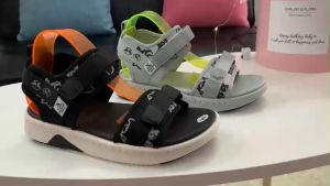 Giày Sandal Nữ ZX 2726 T Raccoon hình ảnh chú gấu mèo đáng yêu mang đến sự tích cực