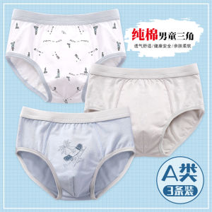 Quần Lót Cotton Nguyên Chất Cho Bé Trai Quần Lót Tam Giác Thoải Mái Thoáng Khí Cho Bé Trai Từ 1-15 Tuổi Quần Lót Cotton Thoáng Khí