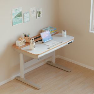 Loctek | Dual Motor Smart Electric Adjustable Desk