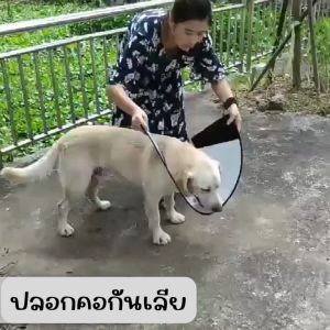 คอลล่าหมา คอลล่าแมว ลำโพงหมา ลำโพงแมว 🚚 ส่งฟรี ใช้ร่วมกับคูปอง ปลอกคอกันเลีย ลำโพงกันเลีย