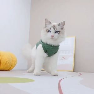 áo thun 5 màu in gấu cho chó mèo - T3 PETS SHOP