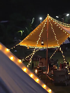 10Meter 80LED Fairy Lights for decoration Battery Operated Ball Star led light Strips for Tree Flower Christmas Wedding