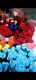 Ifastore_17