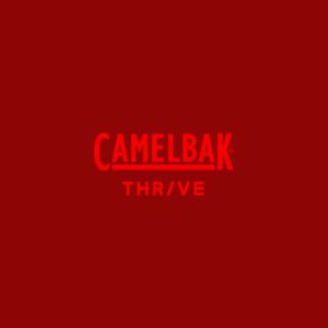 CamelBak Thrive Tumbler Leakproof  Stainless Steel Insulated Mug 900ml