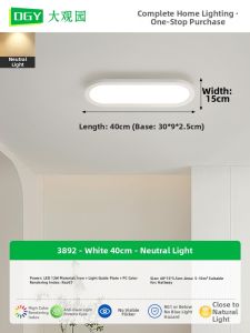 DGY | Antique Style Thin Modern Minimalist LED Light