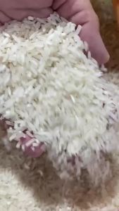 Rizaleño Sinandomeng - Pure Local Rice Sariling Atin - READY TO SHIP