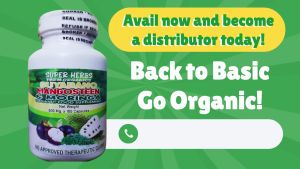 INSULIN SERPENTINA AMPALAYA GUYABANO 4 IN 1 HERBAL ORGANIC FOOD SUPPLEMENT