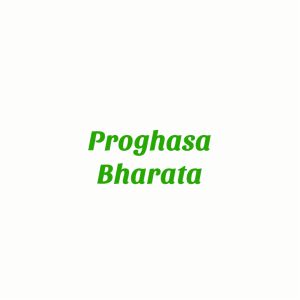 Obat Diabetes Luka Pasca Operasi Kencing Manis Progasha Bharata Kemasan 250g Isi 30 Kapsul Garansi Uang Kembali 100%