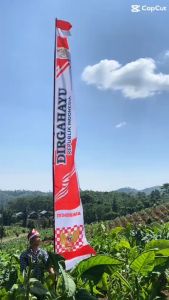 UMBUL UMBUL JUMBO CATUR DIRGAHAYU 4 METER