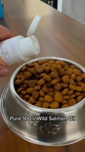 MDCP- Nutrifur Pure 100% Wild Salmon Oil 60ml for Cats & Dogs