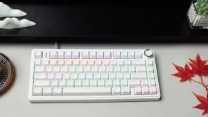 AULA | AULA F75 75% Bàn Phím Cơ Có Dây ANSI US Layout Gasket Có Thể Hoán Đổi Nóng RGB Có Núm Cho Máy Tính Laptop Windows PC Gamer