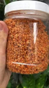 500G MUỐI SIÊU CAY ( LOẠI 1)