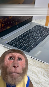 UGREEN อะแดปเตอร์ USB HUB 7in1 HDMI 4K60Hz DisplayPort 4K60Hz โอนถ่ายข้อมูล 10Gbps PD100W รุ่น 75902