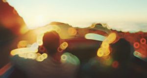 Introduction to Whale Professional Diving Gear