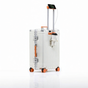 Password Lock Travel Suitcase 20inch