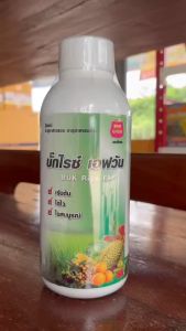 #อะมิโนข้าว ( บั๊คไลซ์ F1 ) สูตรบำรุงต้น ตราดวงตะวันเพชร ขนาด 1 ลิตร กอใหญ่ ใบตั้ง เขียวนาน