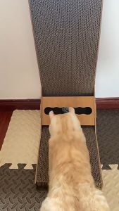 พร้อมส่ง ที่ลับเล็บแมว แผ่นลับเล็บแมว ที่ฝนเล็บแมว ของเล่นแมว รูปทรงตัว L