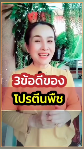 วีแกน โปรตีนถั่วเหลือง โปรตีนพืช กิฟ ฟารีน vegan และโปรตีนสกัดจากถั่วลันเตาสีทองและถั่วเหลือง วีแกน มัลติ แพลนท์ โปรตีน