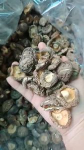 Nấm Đông cô loại 1 trọng lượng 05kg