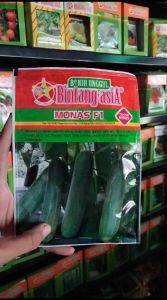 Benih Timun Monas F1 20gr Bibit Timun Unggul Bintang Asia