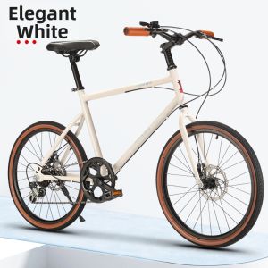 Variable Speed Road Bike