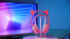 ประกัน 1ปี หูฟังบลูทูธ PSH-200 Pink หูฟังแบบครอบหู หูฟังบลูทูธไร้สาย หูฟังเบสหนักๆ หูพังบลูทูธแท้ หูฟัง bluetooth หูพังบลูทูธ ส่งฟ