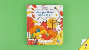 Usborne - Little Peep Through Books Series
