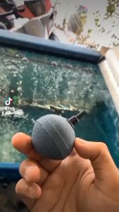 Batu Aerator BASO BULAT BOLA 5 CM Air Stone 5cm Gelembung Udara Oksigen Aquarium Aquascape Kolam Ikan Pemberat Selang Airator 3/16 Mesin Pompa Filter Aerasi Bakso