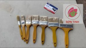 Cọ Quét Thanh Long Sơn Dầu và Sơn Nước Cán nhựa