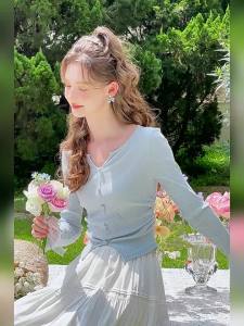 HEYINI | Sweet Blue Slim Fit Long Sleeve V-Neck T-Shirt Base Shirt Top for Women Stylish Comfortable Cotton Polyester Blend Spring Autumn New Arrival