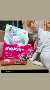 7kg Maxime Dry Pet Food Cat Cats All Stages Premium Healthy Meal Complete Coat Balanced Nutrition