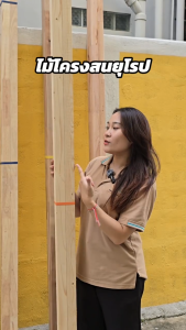 ไม้โครง ไม้สน ขนาด 1.7ซม x 4.2ซม x 200ซม มัดละ10ท่อน ไม้ระแนง ไม้โครงสน โครงไม้ โครงไม้สน