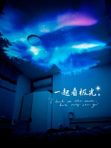Aurora World Meteor Projection Starry Sky Lamp Atmosphere Light Bedroom Full of Stars Projection Night Light Birthday Gift