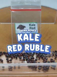 Benih Kale Red Ruble Unggulan Berkualitas biji bibit repack kel kubis merah keriting hydroponik hidroponik sayur sayuran tanaman pot