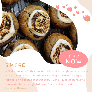 Smore Cookie by Wild Krumbz (50 grams)