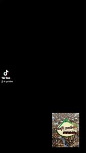 🍄เห็ดเผาะหนัง🍄อ่อน80% เห็ดป่าแท้ธรรมชาติ ต้มสุกแล้วพร้อมนำไปประกอบอาหาร รับประกันสินค้า