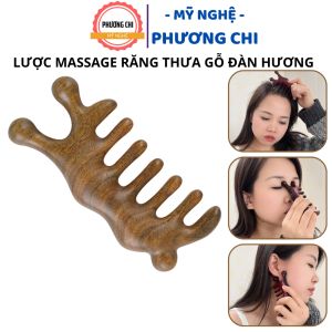 Lược Massage Đầu Mũi Gỗ Đàn Hương Ốc Sên Lớn Lược Mát Xa Da Đầu Chải Kinh Lạc | Mỹ Nghệ Phương Chi